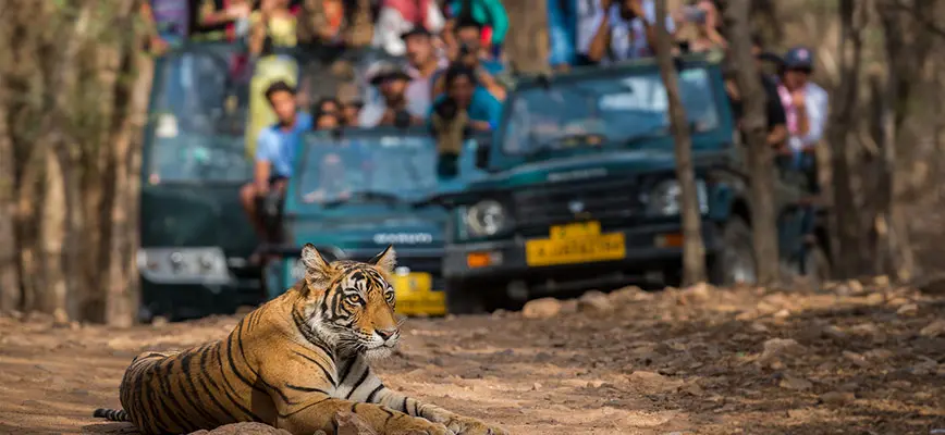 jeep safari