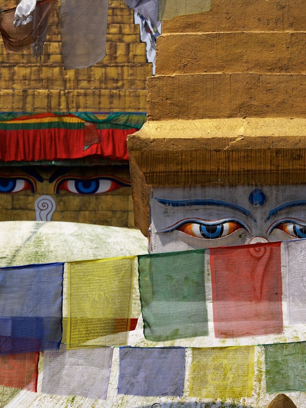 Aug 11 - Rare 'amber eyes' on the train from Agra to Delhi…