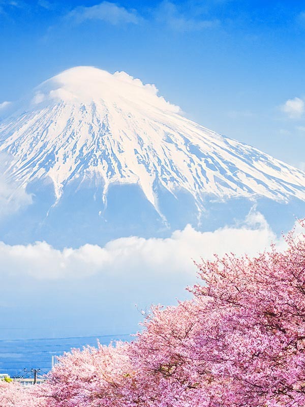 Japan Weather in May 2024: Travel Tips for a First Visit
