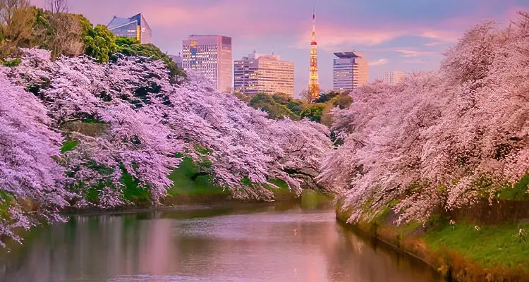 Paisaje de Tokio en primavera