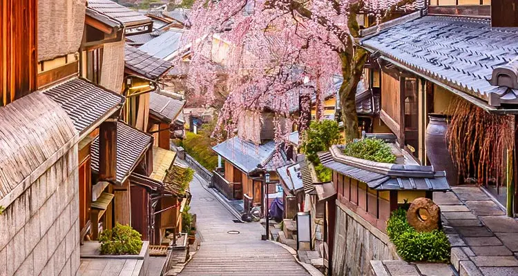 La calle de Kioto en primavera