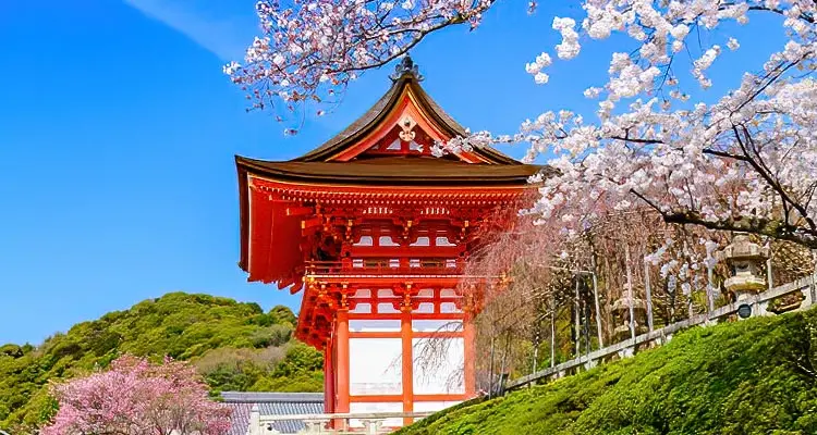 El templo Kiyomizu en primavera