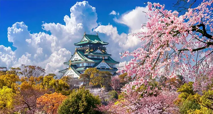 La temporada de las flores de cerezos en Japón