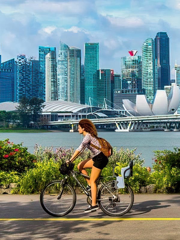 4-Day Private Singapore Sightseeing Tour - Your Way