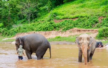 Best (and Worst) Time to Visit Thailand & When is the Rainy Season ...