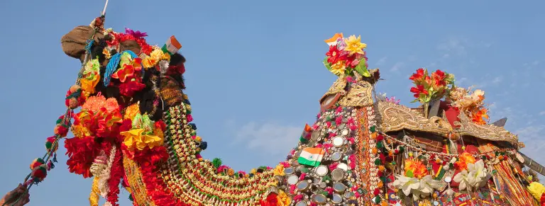 10-Day Royal Rajasthan and Camel Festival Tour 